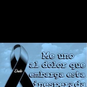 Meet your Posher, Rocio